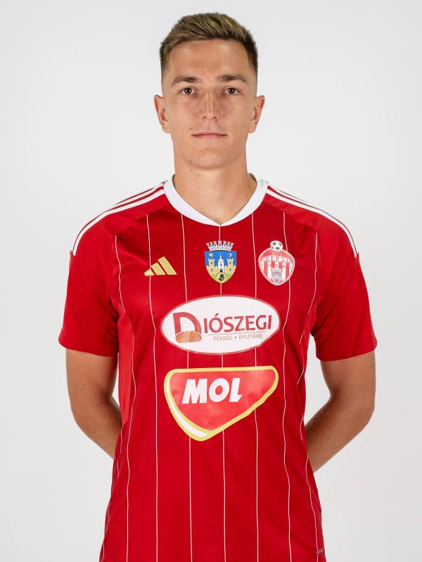 14. VEREGUȚ DANIEL